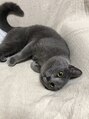 アグ ヘアー モコロ 札幌元町店(Agu hair mocoro) 人を出血させるのが得意な猫