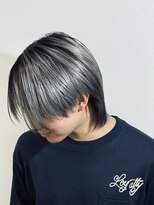 ヨンマルイチ(401) ノーザライトシルバー