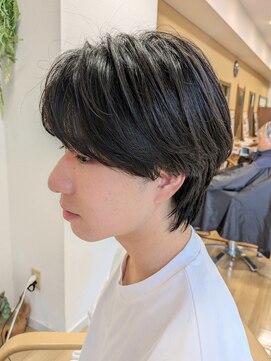 グリーンズ(Greens) センターパートマッシュ×ウルフ/フェザーショート/アッシュ