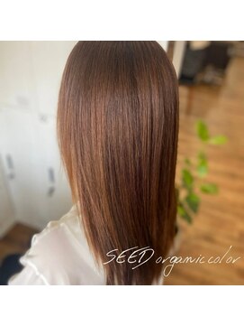 シード(SEED) フォギーベージュ