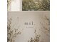 ミユ(mil.)の写真