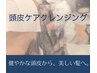 【NEW】髪質変化が気になる方へ！カット+頭皮ケアクレンジング（20分）