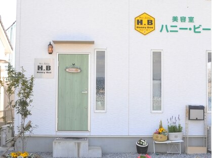 ハニービー(honey bee)の写真