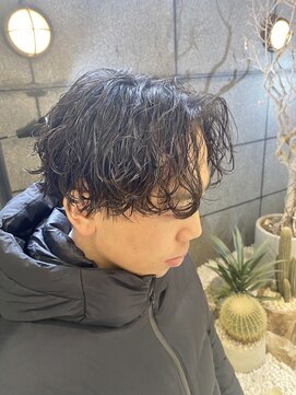 ゼスト フィーノ(ZEST fino) 【三谷】立川でできる波巻きセンターパート/アッシュブラック