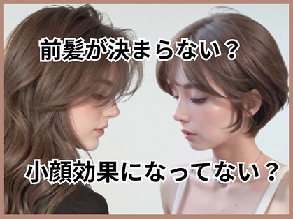 ジーディーエス(GDS)の写真