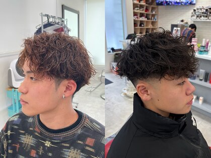 キューカンバー(CUCUMBER)の写真