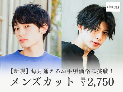 プラスワン(plus+one)の写真