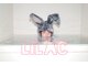 ライラック(LILAC)の写真