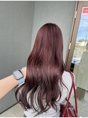 ピンクラベンダー