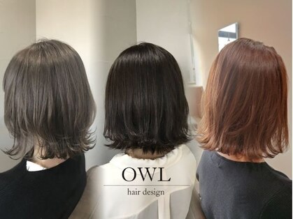 オウル(OWL)の写真