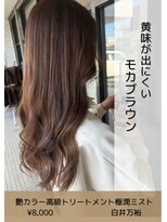 ネリネ(Nerine)&nbsp;モカブラウン