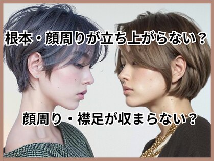 ジーディーエス(GDS)の写真