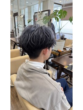 ジッピー ヘアーコレクション アウターカラー メンズショート ハイトーンカラー