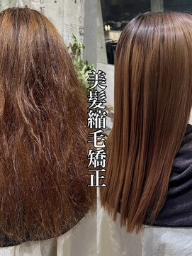 サロンド アクトレス 銀座店(salon de actress) 【完全オーダーメイド】【ダメージ80%削減】美髪縮毛矯正