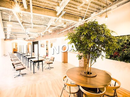 ノア(NOA)の写真