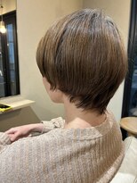 本と南風 guest design