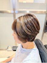 パウダーヘアー(powder hair)&nbsp;新カラー剤　プレトワ　