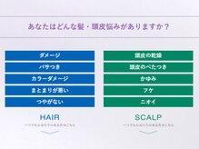 あなたはどんな髪・頭皮悩みがありますか？
