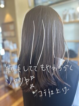 カルナ バイ カリス(CARNA by Charis) フォギーアッッシュ／透明感/