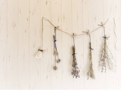 スピカ(Spica)の写真