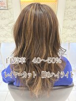 ヘアーデザインムーヴ(Hair design MOVE) 白髪ぼかしハイライト ロング