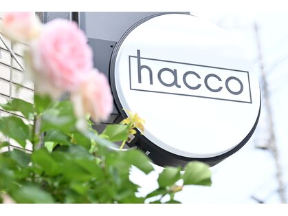 ハッコ(hacco)の写真