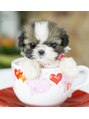 ミシェリー(misherry) 動物好きです。犬好きです。