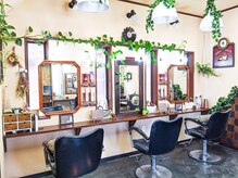 ヘアーワークス ラップデザイン(HAIR WORKS Lap design)の雰囲気(観葉植物がどんどん育ってお店が侵食され始めています(笑))