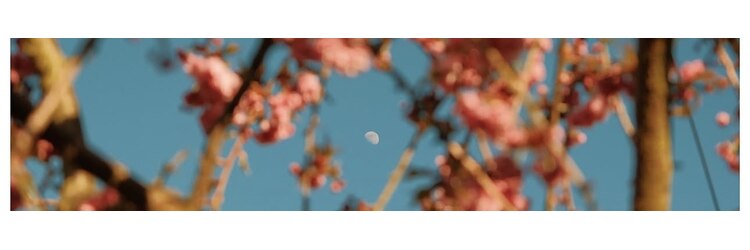 リーファ(reefur)のサロンヘッダー