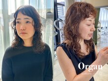 オルガン(Organ)
