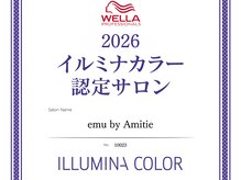 エミュー(emu by Amitie)の雰囲気（イルミナカラー認定サロンで透明感のある人気の外国人風カラーへ）
