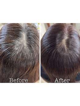 脱・白髪ぼかし＆染めしませんか？大人髪の新常識、髪質再整カラーで艶のある髪へ