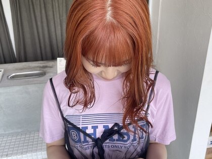 シエカ(C.eka)の写真