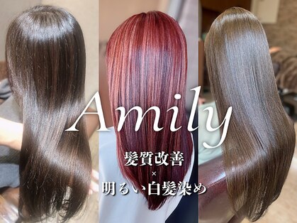 アミリー 成田飯田町店(Amily)の写真