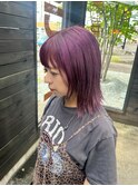 パープルカラー