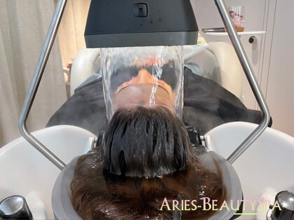 アリエス(Aries)の写真