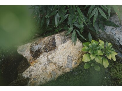 ヨハク(YOHAKU)の写真