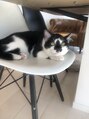 ケンジ 湘南台(KENJE) 猫好きです＊今は飼っていないですが猫動画見るの好きです♪