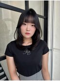 ミディアムレイヤー