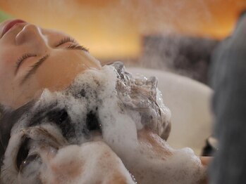 アンティカ(anticca)の写真/【栃木県でも取扱店の少ないビーガン登録されたシリーズ使用！】頭皮の汚れが気になる方にオススメのスパ♪