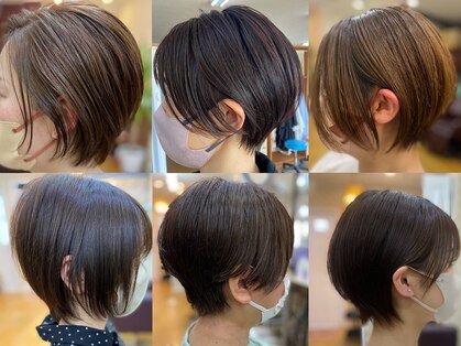 キテ(kite:)の写真