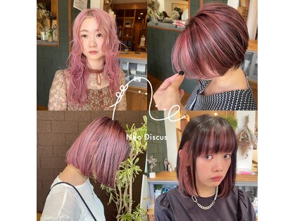 ネオ ディスカス(Neo Discus)の写真