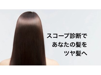 トレゾア(Tresor)の写真