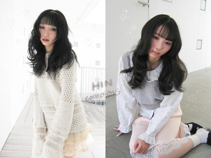 ヒン(HIN)の写真