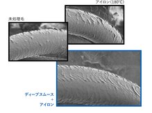 電子顕微鏡でも