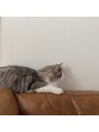 リフデザインラボビオ(riff design labo bio)&nbsp;愛猫