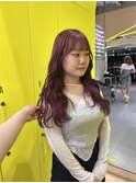 ピンクラベンダー