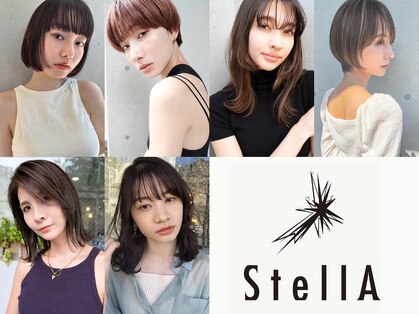 ステラ(stella)の写真