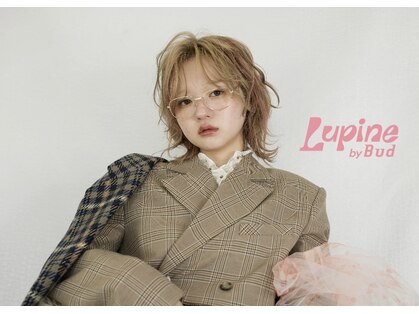 ルピネバイバド(Lupine by bud)の写真