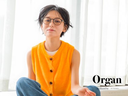 オルガン(Organ)の写真